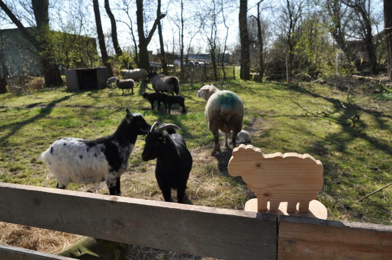 Hof Herzleuchten, Familie Groth Leilighet Garding-Kirchspiel Eksteriør bilde